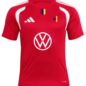 Camiseta fútbol partidos y aficionados