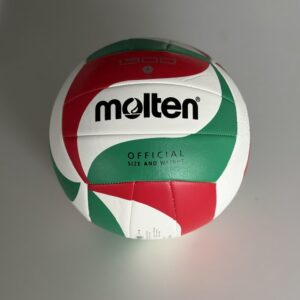 Balón Voleibol Oficial